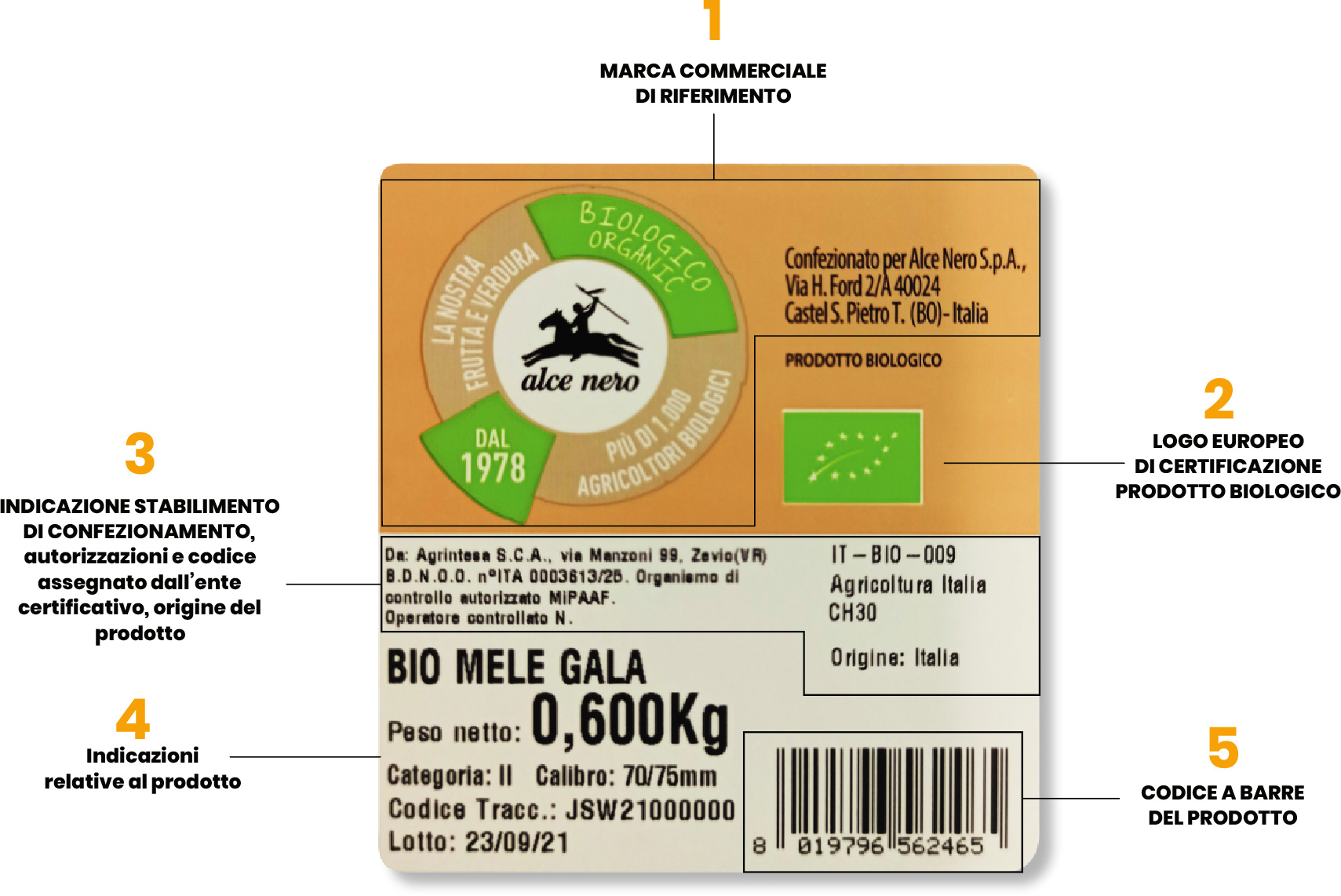 <?php bloginfo('name'); ?>